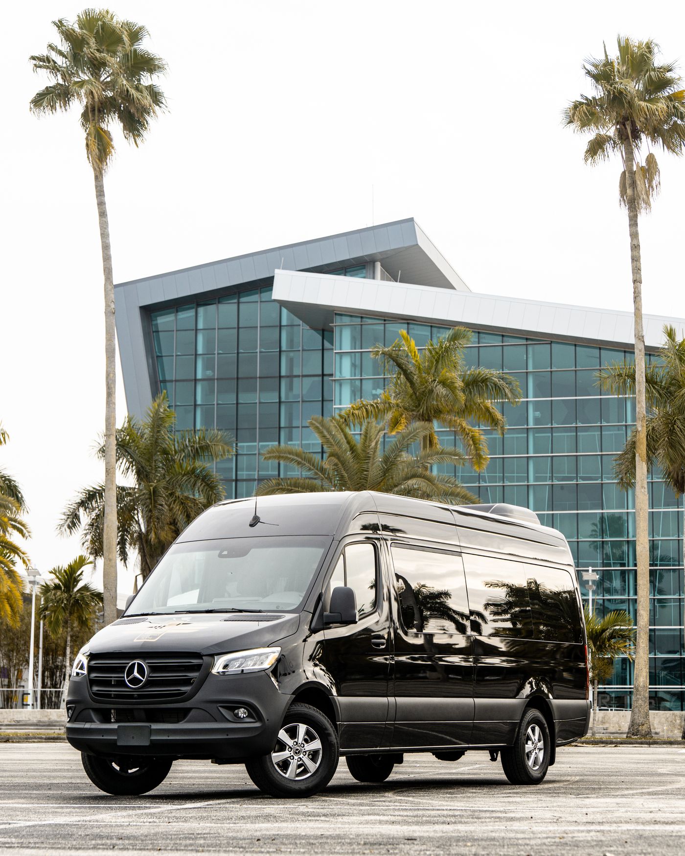 Brand new black Mercedes-Benz Sprinter van with palm trees in Florida